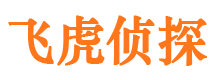 邢台县市调查公司